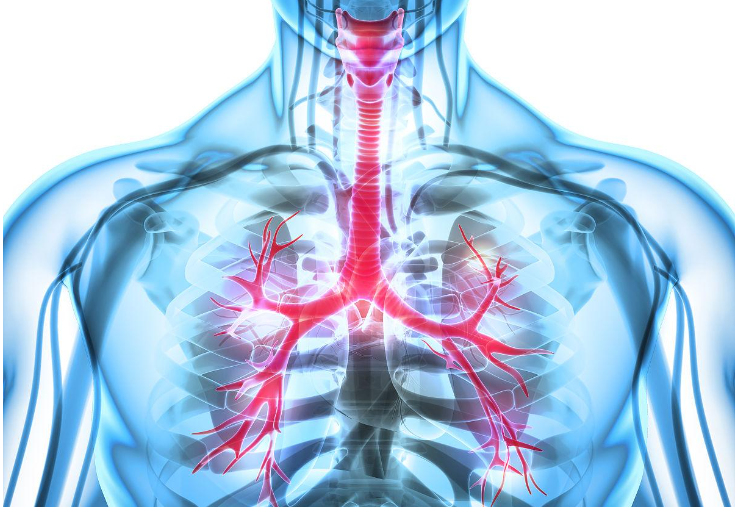 麻醉科(kē)最不(bù)起眼的(de)螺紋管，都(dōu)隐藏著(zhe)那(nà)些(xiē)學問(wèn)？(圖2)